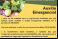 PL 735 Medidas emergenciais para agricultura familiar