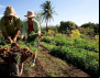 Bolsonaro ataca reforma agrária e agricultura familiar com decreto no Carnaval