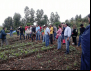 Agricultores familiares buscam cada vez mais a produção agroflorestal