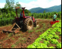 CONTRAF BRASIL apoia Greve dos Caminhoneiros e convoca Agricultura Familiar para somar nas paralisações