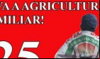 Reforma Agrária Já