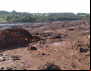 Brumadinho: Sem terra e com produção na lama, Agricultura Familiar não terá como utilizar PAA liberado pelo Governo