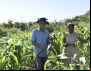 Agricultores do Piauí são os que mais preservam vegetação nativa no Nordeste