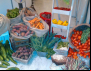 XXIV REAF - Países compartilham experiências inovadoras para agricultura familiar