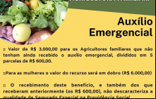PL 735 Medidas emergenciais para agricultura familiar