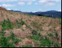 Estiagem Preocupa Agricultores E Agricultoras Familiares De Santa Catarina