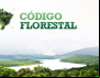 STF retoma julgamento de ações sobre o novo Código Florestal