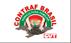 Coordenadora de Meio Ambiente da CONTRAF BRASIL Viviane Oliveira contra a PEC 287
