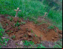 Juradas de morte: como sobrevivem lideranças rurais em meio ao aumento da violência no campo