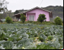 Déficit Habitacional do meio rural aumentará com cortes nos programas