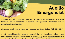 PL 735 Medidas emergenciais para agricultura familiar