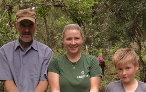 Erva-mate sombreada do Paraná recebe reconhecimento internacional da FAO como Sistema Importante do Patrimônio Agrícola Mundial