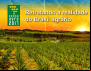 Contraf Brasil: modelo agroquímico é fator decisivo no aumento do uso de agrotóxicos