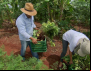 Agricultores familiares da Fetraf propõem Crédito Emergencial Nordeste