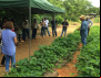 Fetraf MS participa de nova edição da Feira Estadual de Produtos da Agricultura Familiar