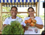 Agricultura familiar do Nordeste ganha impulso