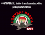 Cenário político para CONTRAF BRASIL em 2017