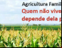 TST reconhece legalidade da Fetraf Sul como única representante da Agricultura Familiar da região Sul