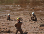 Fetraf Pará em solidariedade às vítimas de Brumadinho