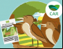PMV/Fundo Amazônia faz chamada pública para realizar CAR coletivo