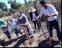 Juventude da Agricultura Familiar planta o futuro com Orgânicos